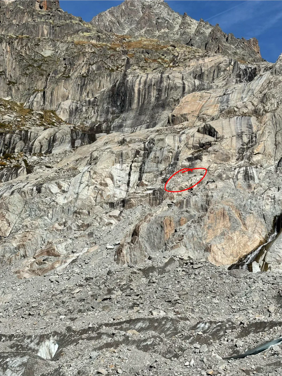 supposedly, there are ladders in this picture