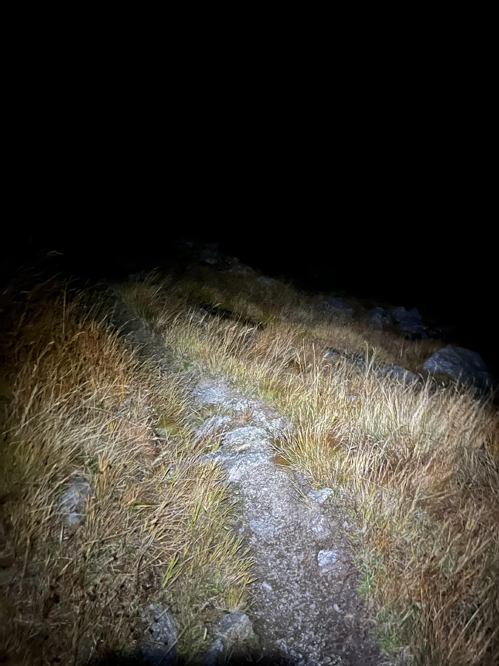 View of the trail in the night with my head lamp